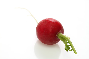 Image showing Radish