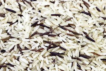 Image showing Wild rice