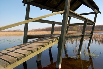 Image showing Swamp