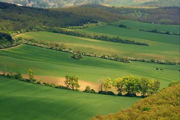 Image showing Landscape