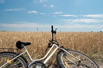 Image showing Bicycle