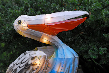 Image showing Chinese lantern (Illuminated Pelican)