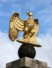 Image showing Eagle