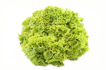 Image showing Green salad