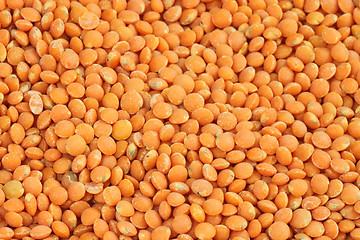 Image showing Red Lentils