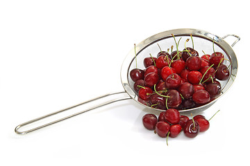 Image showing Red cherry fruits