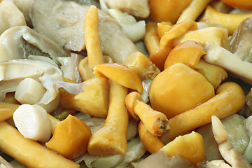 Image showing Mushrooms