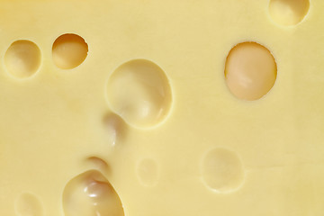 Image showing Cheese