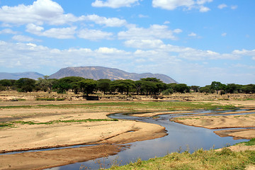 Image showing African landscape: Ruaha river in dry season 