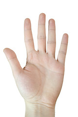 Image showing Man hand.