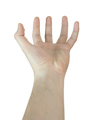 Image showing Man hand.