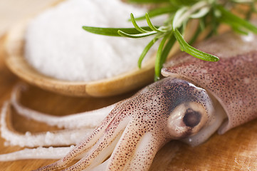 Image showing Squid