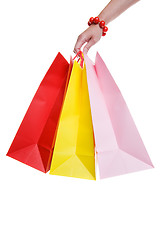 Image showing Shopping bags