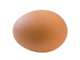 Image showing Isolated egg