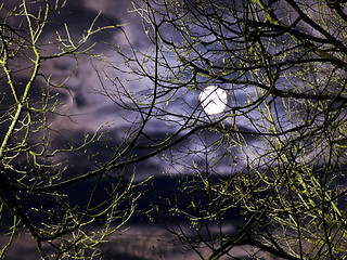 Image showing moon