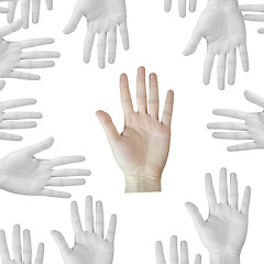 Image showing Hands on white.