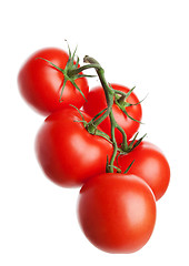 Image showing Tomatoes on the Vine