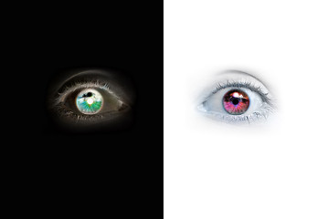 Image showing Eyes