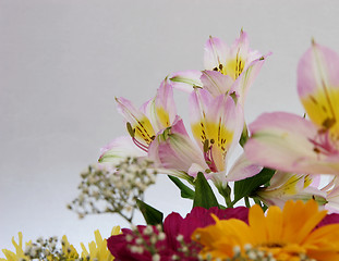 Image showing cut flowers in a bouquet