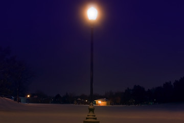 Image showing Park at night after a snow storm