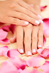 Image showing hands with rose petals