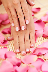 Image showing hands with rose petals