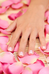 Image showing hand with rose petals