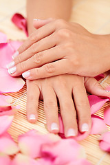 Image showing hands with rose petals