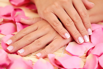 Image showing hand with rose petals