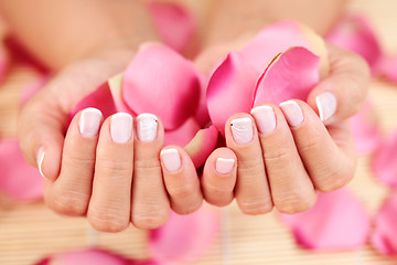 Image showing hands with rose petals