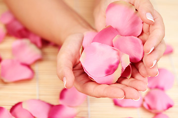 Image showing hands with rose petals