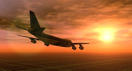 Image showing Fly at Sunset