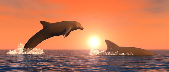 Image showing Dolphins at Sunset