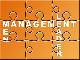 Image showing Management Puzzle