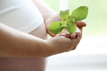 Image showing Close-up of a woman’s bare pregnant belly.