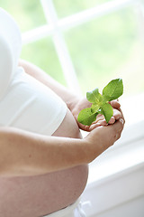 Image showing Close-up of a woman’s bare pregnant belly.