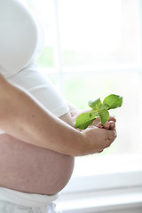 Image showing Close-up of a woman’s bare pregnant belly.