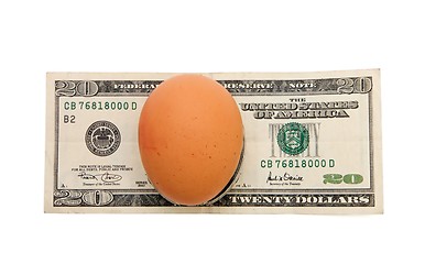 Image showing Brown egg on twenty dollar bill isolated