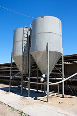Image showing Two small tower silos on farm 