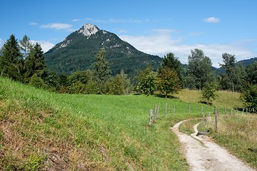 Image showing Road among meadows under the mountain in Austrian Alps
