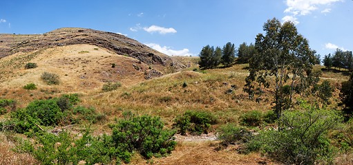 Image showing Scenic hills with yellow grass and green trees