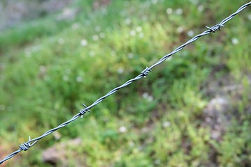 Image showing Single strand of barbed wire 