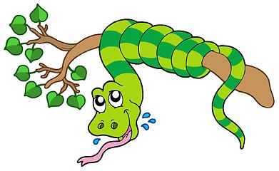 Image showing Snake on leafy branch