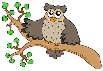 Image showing Owl on branch