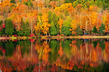 Image showing Fall forest reflections