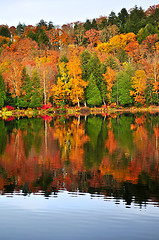 Image showing Fall forest reflections