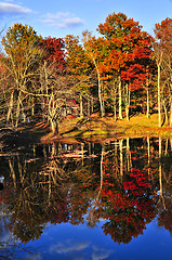 Image showing Fall forest reflections