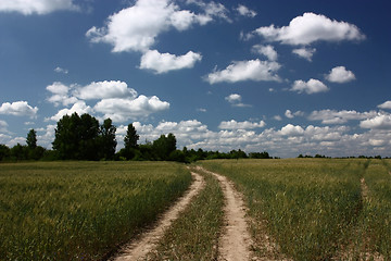 Image showing Country road in the wheaten field