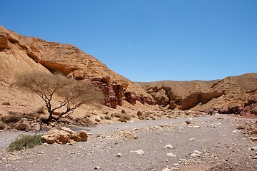 Image showing Rocky desert landscape