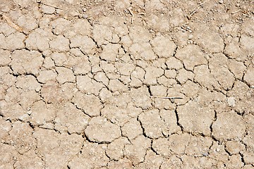 Image showing Cracked ground in drought